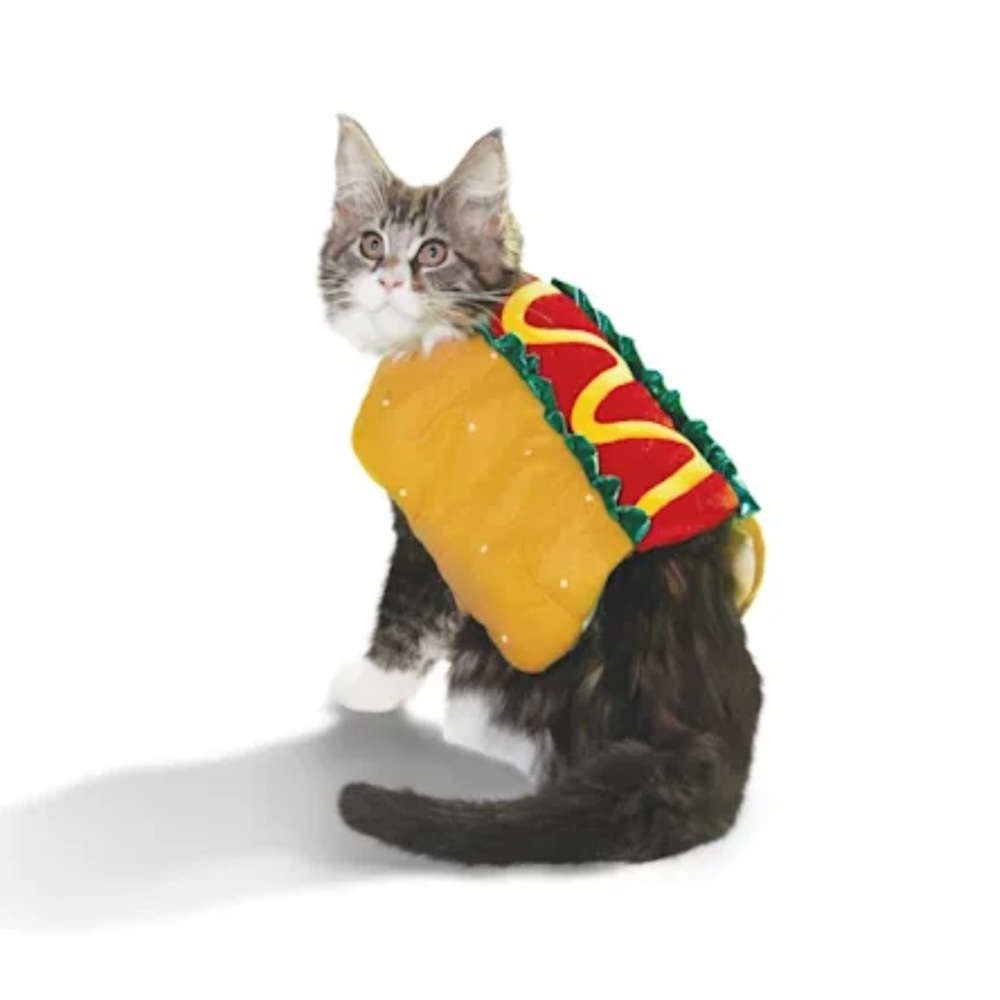 Petco Bootique Dog & Cat Hotdog Costume